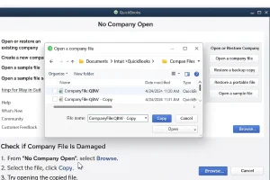 QuickBooks company file damage